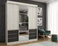 NEW Шкаф купе НАЙС 3Д (210)