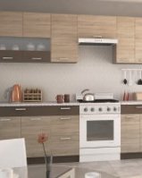 Кухня Алина 