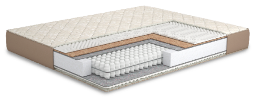 Beige coconut NEW (210mm)